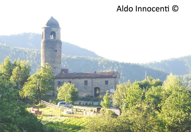 APELLA: TORRE 10' IMMAGINE